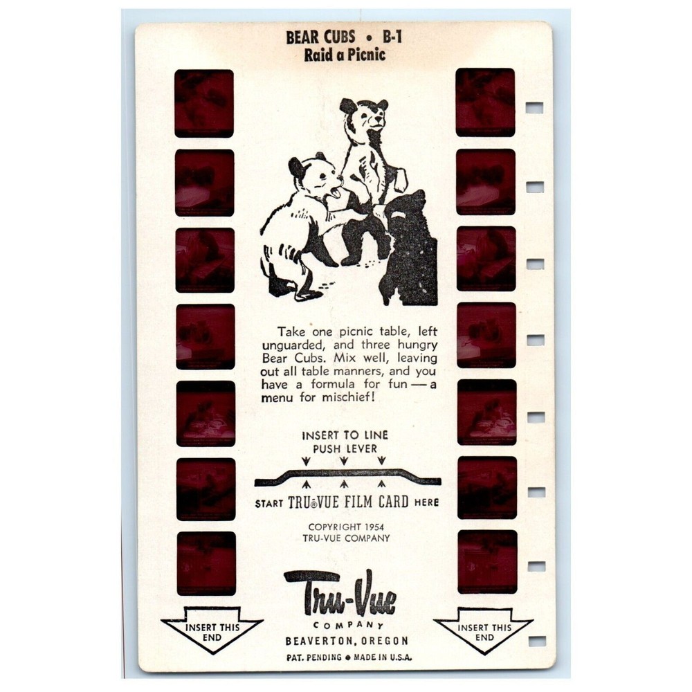 Vintage Tru Vue Tru-Vue Film Card Bear Cubs Raid A Picnic Animals Cute B1 3D 3-D